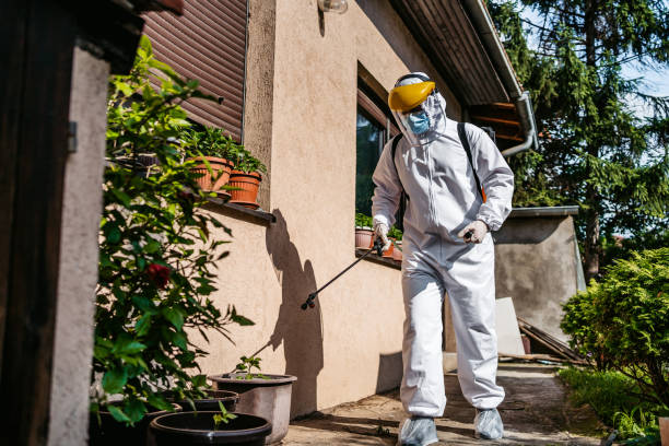 Trusted Blue Ridge, GA Pest Control Experts