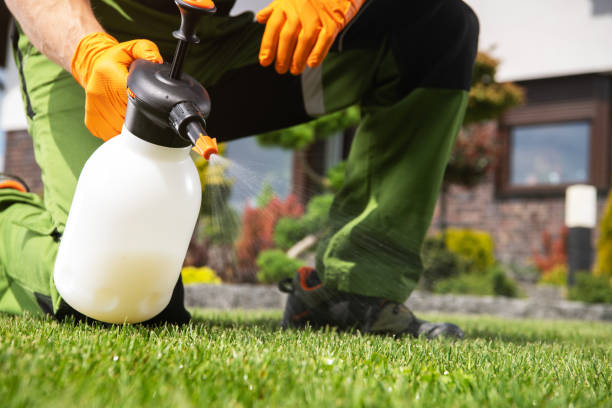Best Termite Control Services  in Blue Ridge, GA